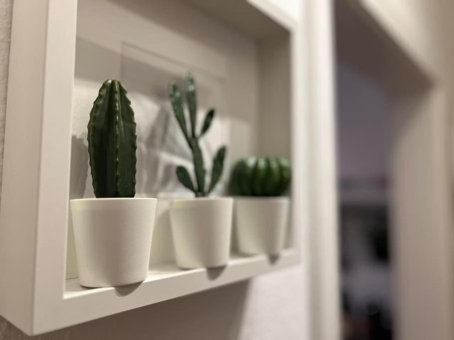 Stadtoase Design Wohnung In Der Altstadt Von Koblenz Koblencja Zewnętrze zdjęcie