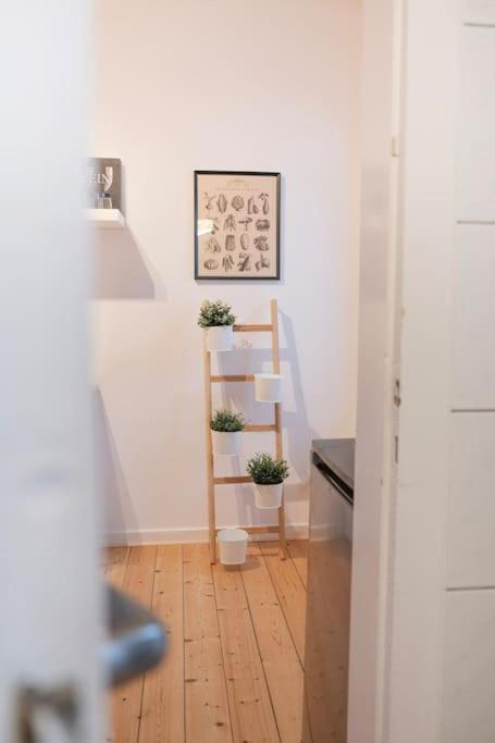 Stadtoase Design Wohnung In Der Altstadt Von Koblenz Koblencja Zewnętrze zdjęcie